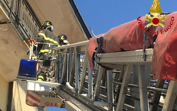 Pomeriggio di incendi, due interventi dei vigili del fuoco