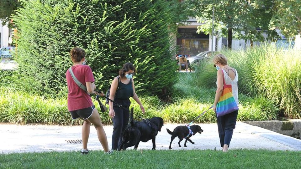 Lodi, cani nei parchi: «I padroni rispettino le regole» Lodi, cani nei parchi: «I padroni rispettino le regole»