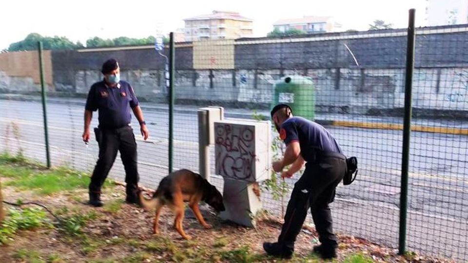 Lodi, a Ferragosto controlli antispaccio nei parchi con il cane antidroga Lodi, a Ferragosto controlli antispaccio nei parchi con il cane antidroga