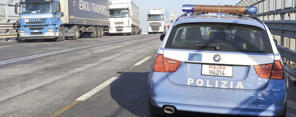 Pieve, investe capriolo in A1 e lancia l'allarme: «Le ...