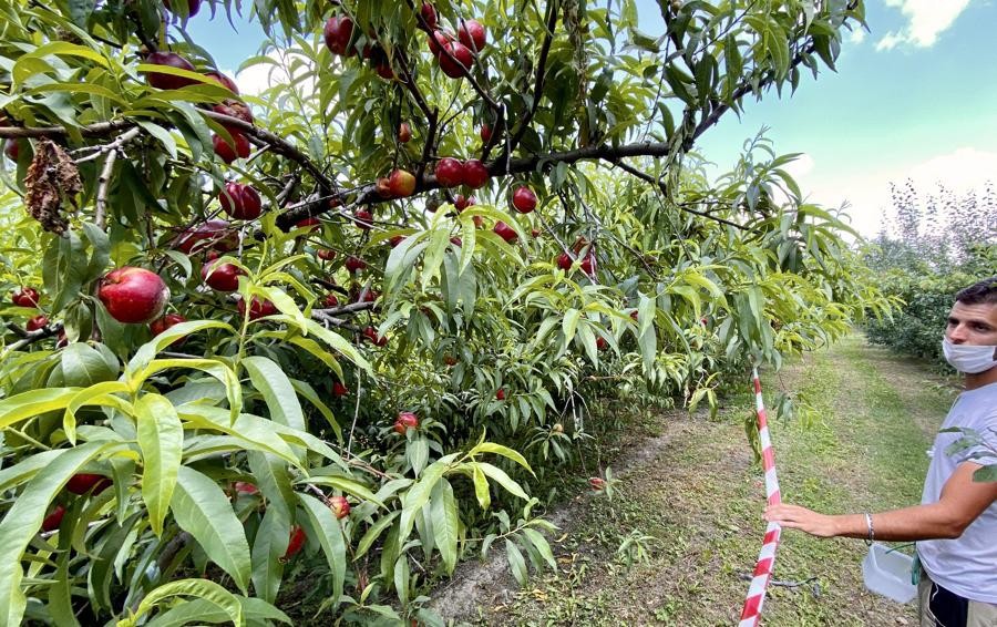Futuro verde, martedì 29 settembre uno speciale sul «Cittadino»