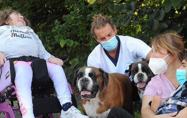 LE BUONE NOTIZIE È con tre boxer al fianco dei disabili che la vita si fa un po’ più facile. Guarda il video