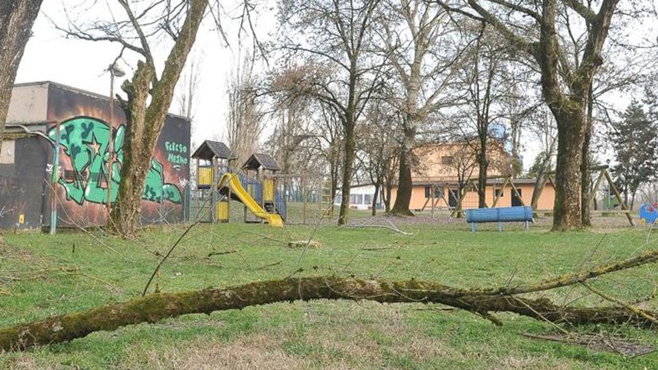 Lodi, come è triste il Belgiardino d’inverno Lodi, come è triste il Belgiardino d’inverno