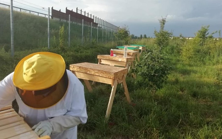 Lodi, il corso è un successo: tutti pazzi per il miele fatto in casa