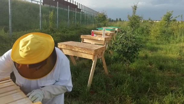 Lodi, il corso è un successo: tutti pazzi per il miele fatto in casa