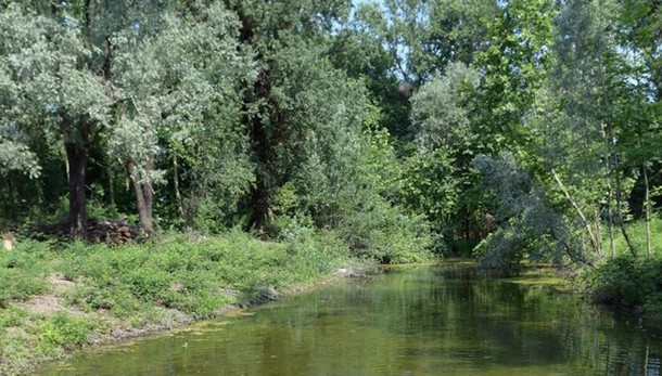 Da gioiello verde a oasi dell’incuria, un appello per “salvare” il Carengione