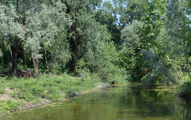 Da gioiello verde a oasi dell’incuria, un appello per “salvare” il Carengione