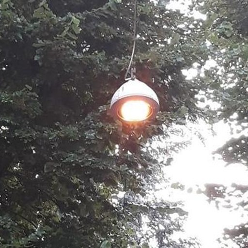 Lampioni accesi anche di giorno a Codogno Cronaca, Codogno