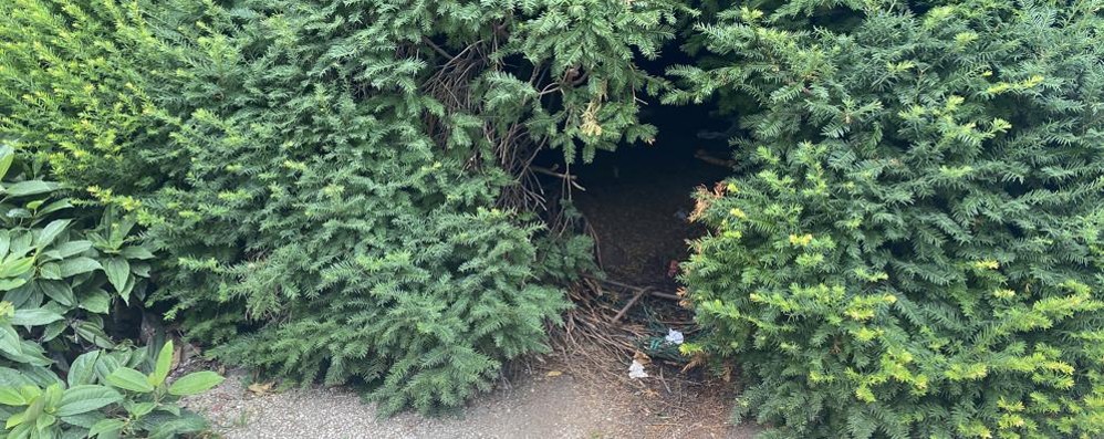 LODI-Le-“porte”-nei-tassi-dei-giardini-del-Passeggio-...