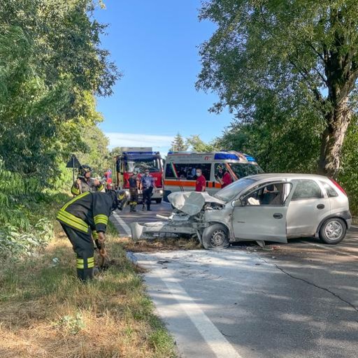 Va A Sbattere Contro Un Albero Sulla Via Emilia Cronaca Casalpusterlengo