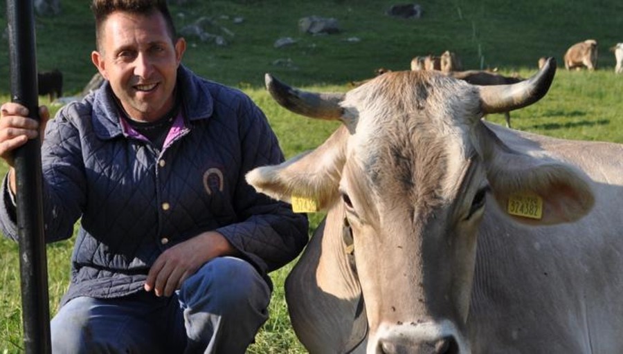 LA STORIA VERDE Da Ossago Lodigiano agli alpeggi del Passo del Tonale