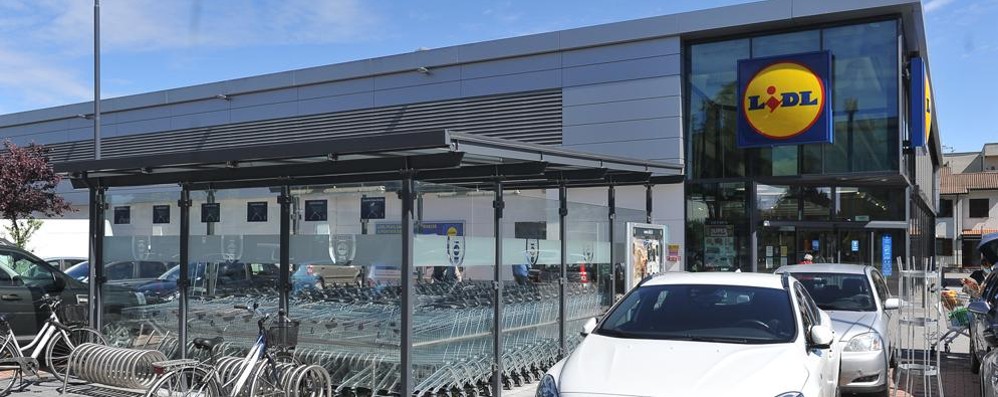 lodi e sudmilano il colosso lidl cerca personale cronaca crema