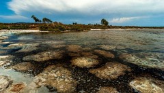 Ambiente e società nell’obiettivo: Melegnano ospita il Photofestival