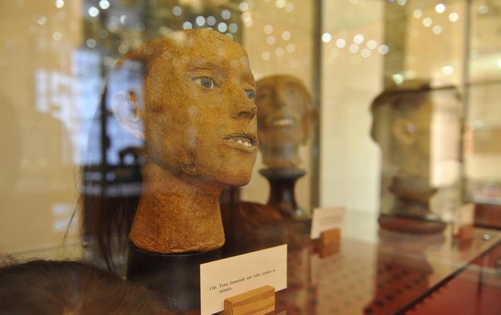 Lodi ritrova la collezione di Gorini: nel fine settimana riapre alle visite