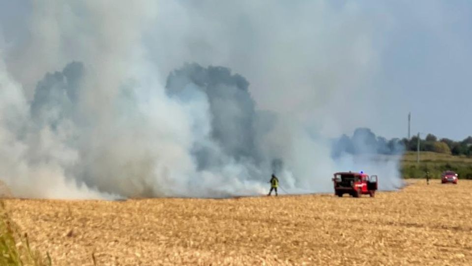 Doppio maxi incendio nella Bassa, campi in fiamme tra Zorlesco e Secugnago e a Casalpusterlengo VIDEO Doppio maxi incendio nella Bassa, campi in fiamme tra Zorlesco e Secugnago e a Casalpusterlengo VIDEO