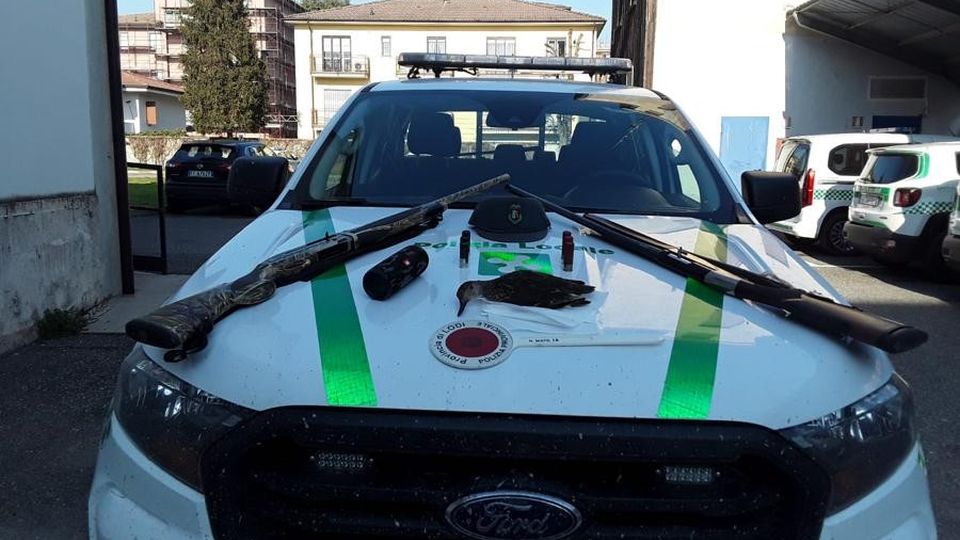 Richiami “fuorilegge” per gli uccelli: due cacciatori nei guai nella Bassa Richiami “fuorilegge” per gli uccelli: due cacciatori nei guai nella Bassa