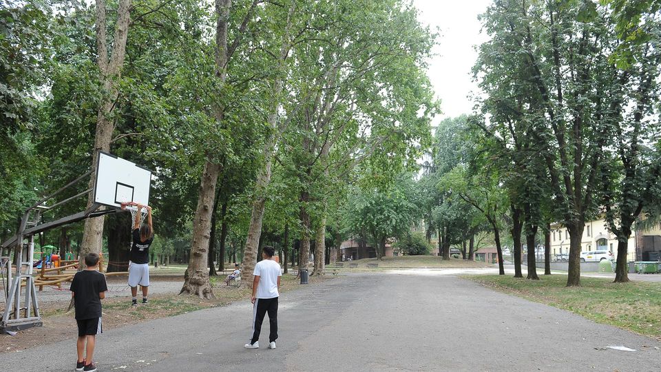 Gli alberi delle nostre città meritano più attenzione Gli alberi delle nostre città meritano più attenzione