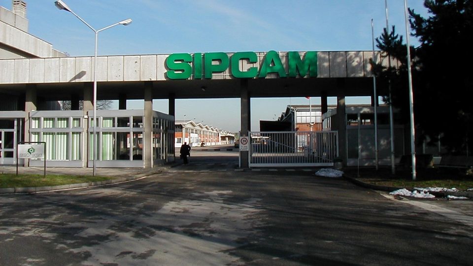 SALERANO Semi di girasole bloccati dalla guerra, arriva la soia non Ogm SALERANO Semi di girasole bloccati dalla guerra, arriva la soia non Ogm
