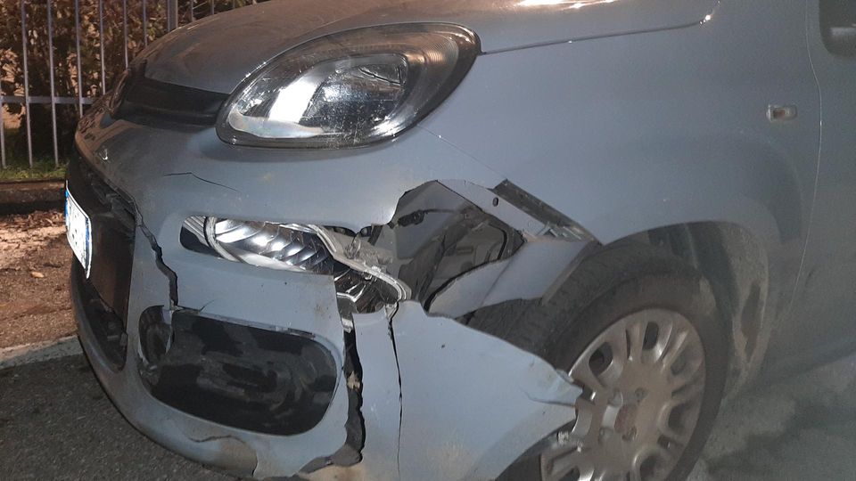 SANT’ANGELO Un branco di cinghiali attraversa la provinciale, un’auto travolge uno degli animali SANT’ANGELO Un branco di cinghiali attraversa la provinciale, un’auto travolge uno degli animali