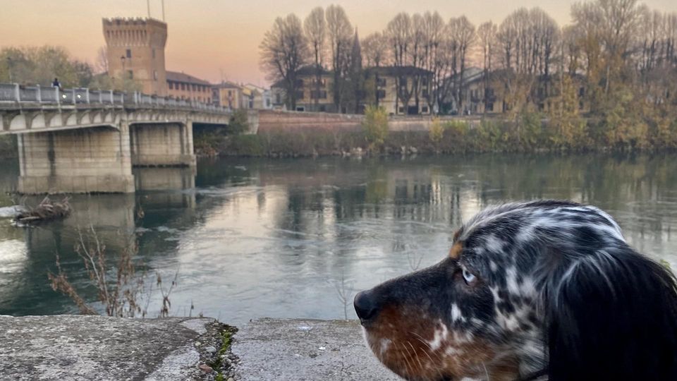 VEDO QUALCOSA MUOVERSI NEL FIUME... VEDO QUALCOSA MUOVERSI NEL FIUME...