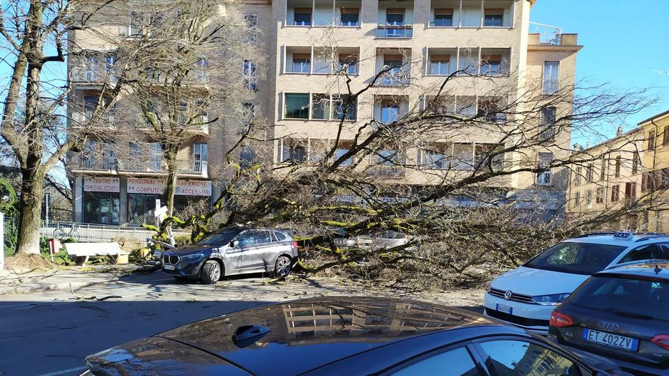 METEO Torna l’allarme vento, previste forti raffiche dal primo pomeriggio di lunedì METEO Torna l’allarme vento, previste forti raffiche dal primo pomeriggio di lunedì