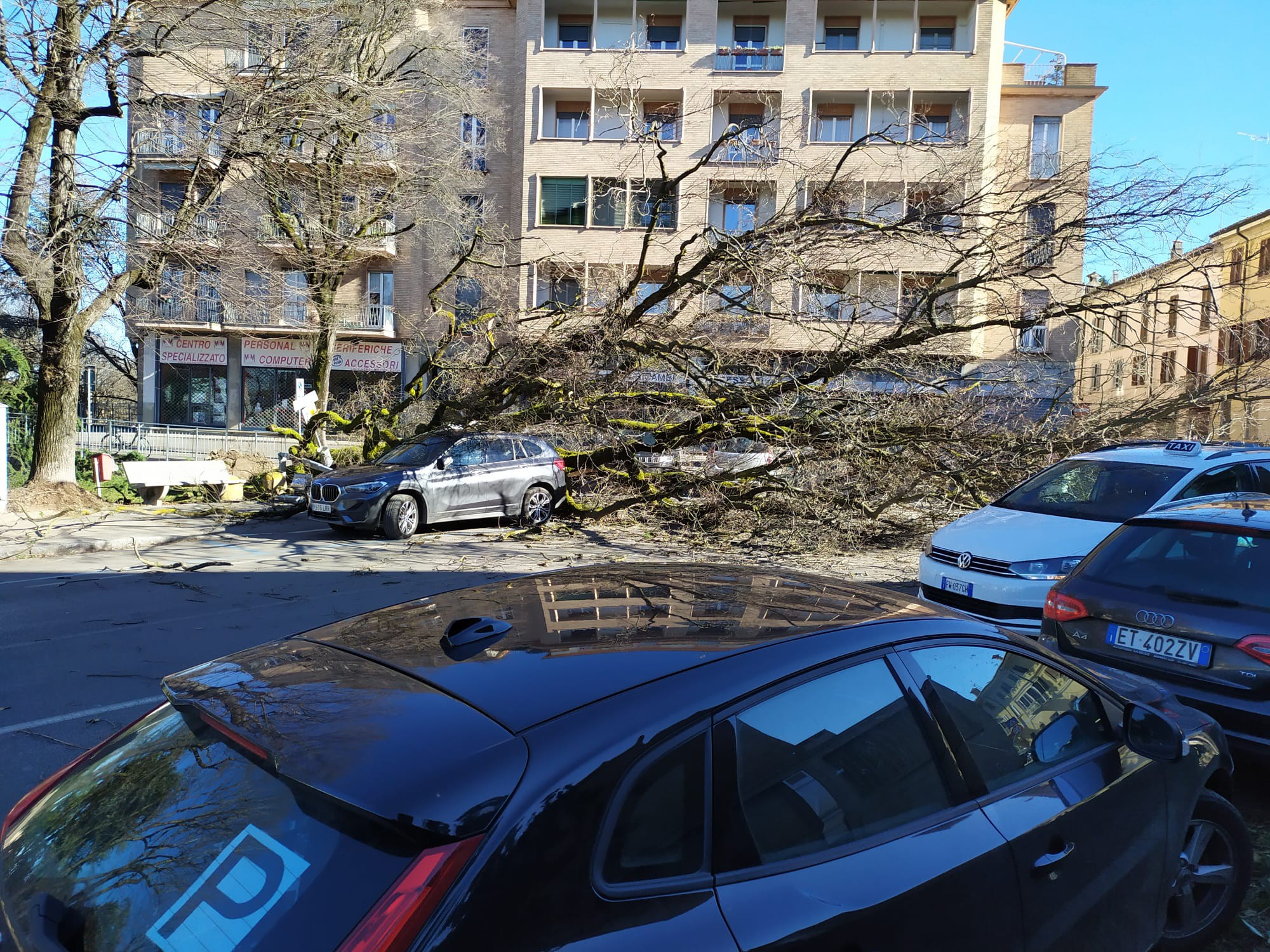 Gli alberi crollati sulle auto in piazzale III Agosto