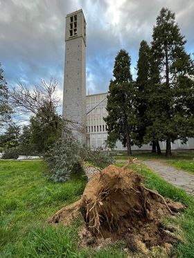 Un albero sradicato a San Donato ( Foto Cusmai) Un albero sradicato a San Donato ( Foto Cusmai)