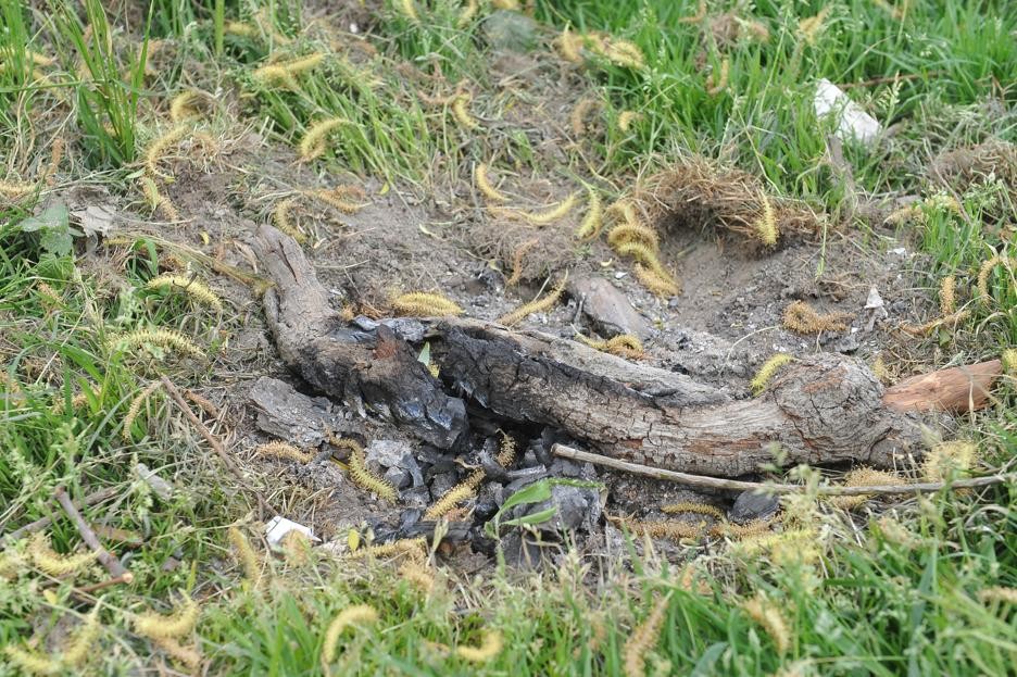 I residui di un falò o una grigliata in riva all’Adda