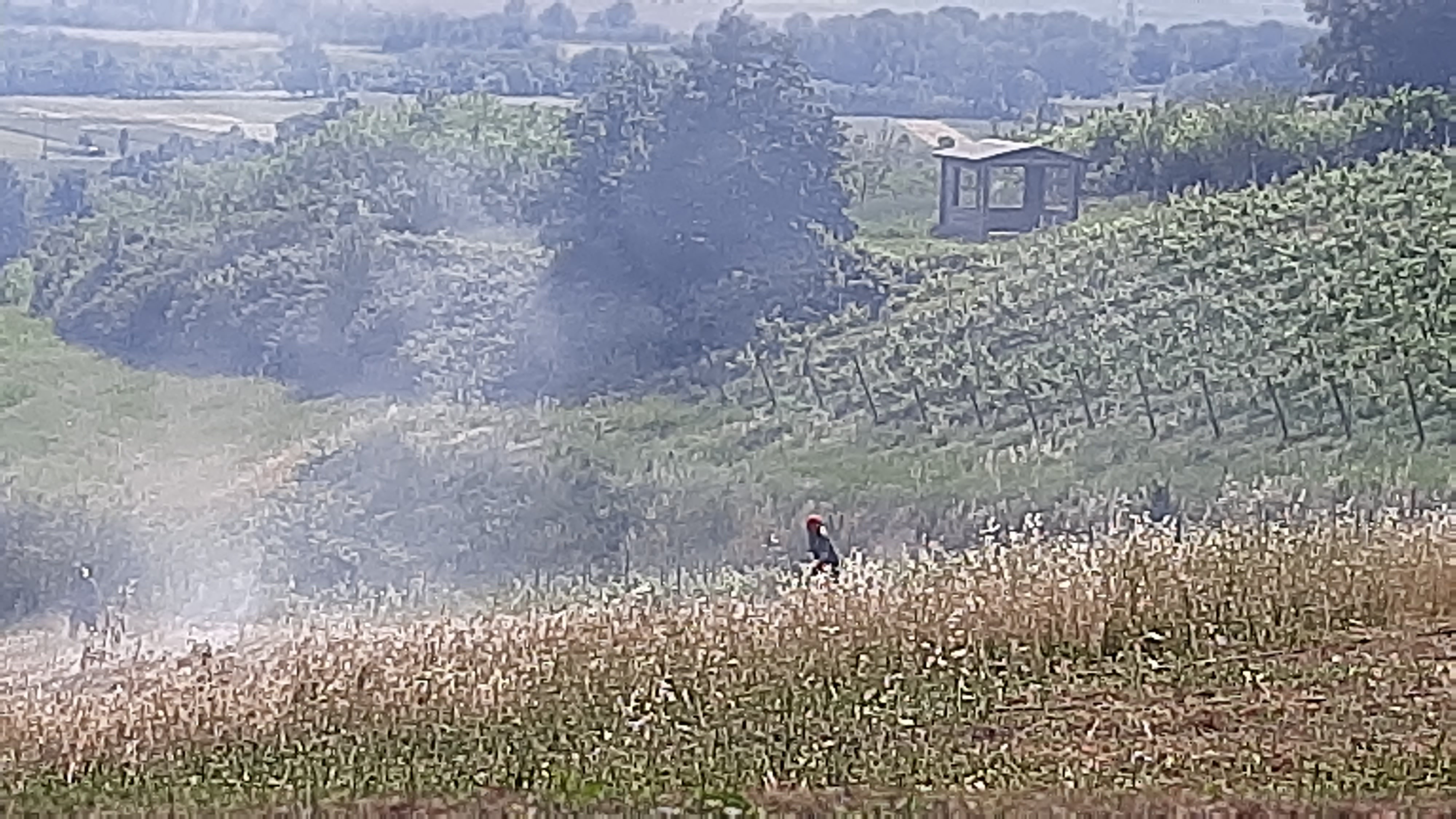 Fiamme al Pomo Granino (Foto Bagatta)