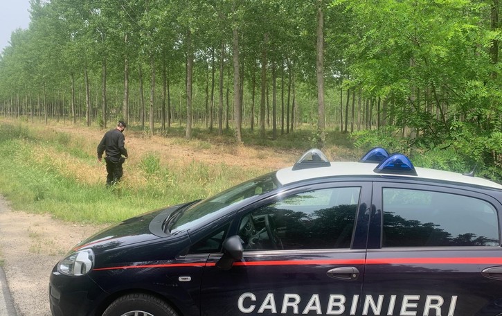 Tre incendi in poche ore nel Lodigiano, forse è colpa dei “piumini” dei pioppi