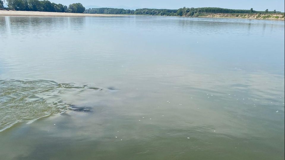 SICCITA’ Il Po in secca, riaffiora un’antica massicciata SICCITA’ Il Po in secca, riaffiora un’antica massicciata