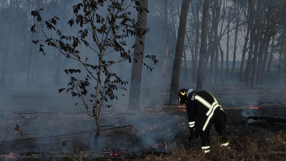 Allarme incendi nei boschi lungo l’Adda Allarme incendi nei boschi lungo l’Adda