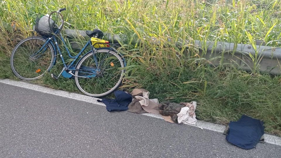 MEDIGLIA Si sente male e cade dalla bici, rischia di essere investito MEDIGLIA Si sente male e cade dalla bici, rischia di essere investito
