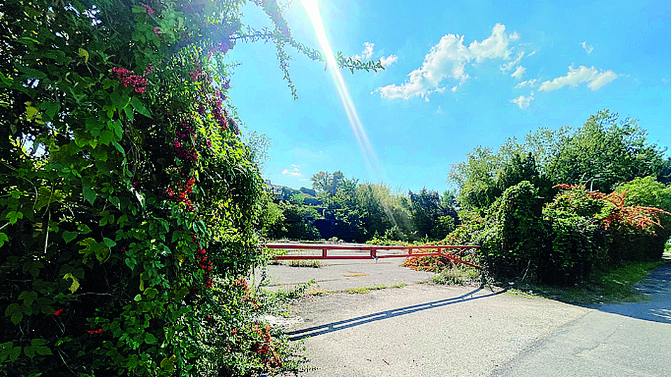 Codogno, l’ex discoteca Majorca invasa da una “foresta” di edera Codogno, l’ex discoteca Majorca invasa da una “foresta” di edera