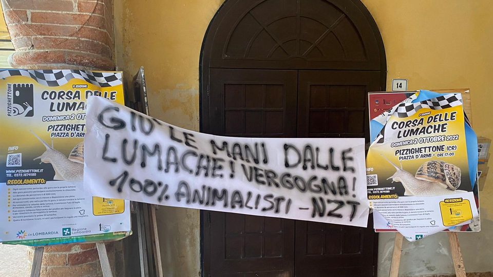 Gara di lumache nella Bassa, azione notturna di protesta degli animalisti Gara di lumache nella Bassa, azione notturna di protesta degli animalisti