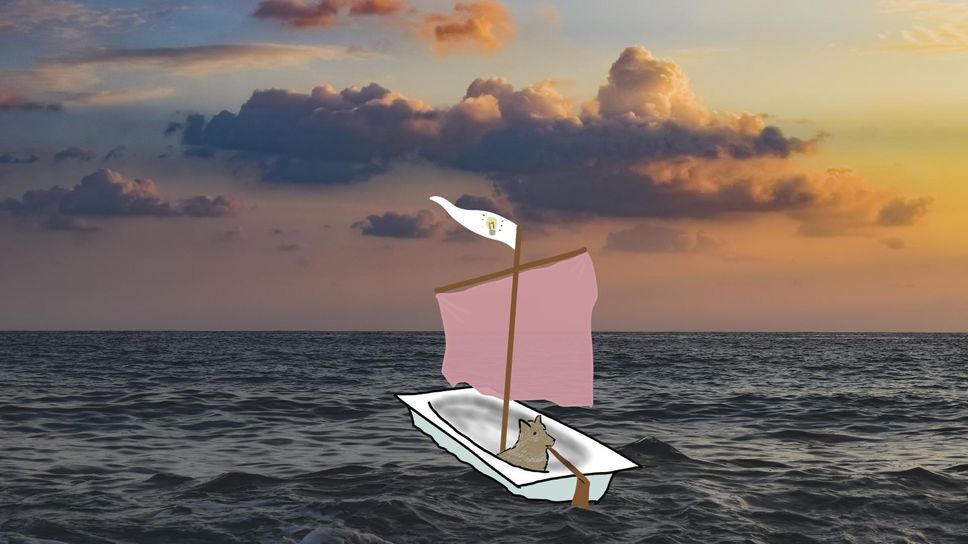 Un lupo su una barca a vela costruita con una vasca da bagno Un lupo su una barca a vela costruita con una vasca da bagno